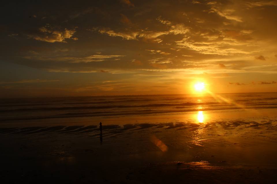 Goodbye Sun, Hello&nbsp;Stars